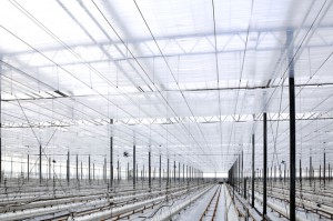 Folia podwieszkowa PLASTIKA KRITIS 1032 4,6m perf.